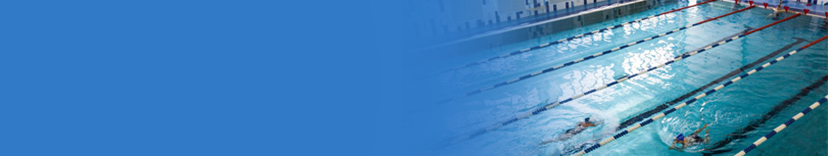 Новости Новости