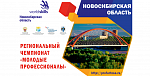  VIII     (WorldSkillRussia) 