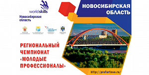  VIII     (WorldSkillRussia) 