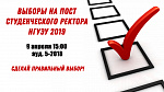 Выборы студенческого ректора НГУЭУ 